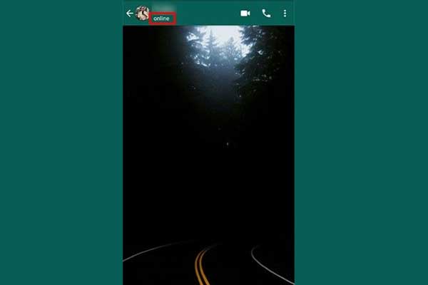 Cara Mengetahui Teman Sedang Online Di WhatsApp GB